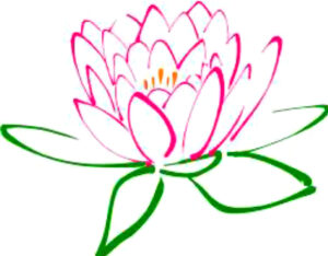 MEDITATION A Silent Weekend Retreat @ THE THEOSOPHICAL EDUCATION AND RETREAT CENTRE | Springbrook | Queensland | Australia